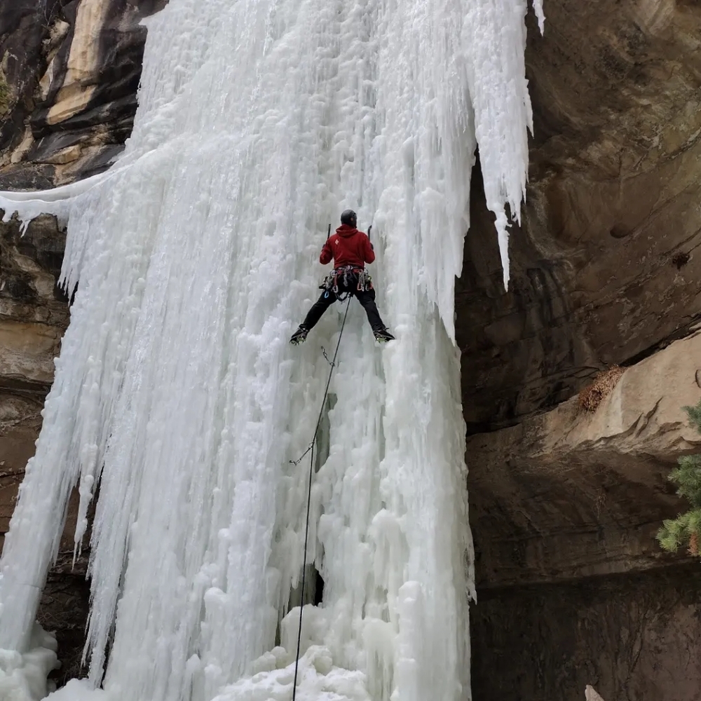 Welcome to my closet 💚 !!!!!! - Picture 8 of 16